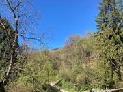 Top Borso del Grappa