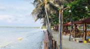 Top Balingasay