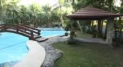 Top Balingasay