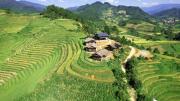 Mu Cang Chai Terrace View Bungalows