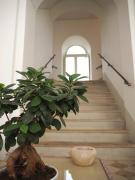 Top Albanella