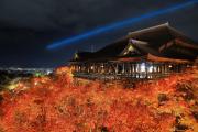 琥珀 Apartment Hotel Kyoto