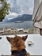 Top Brenzone sul Garda