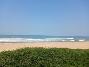 Paddys Place