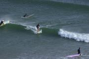 Surfvivoimsouane