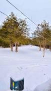 Top Napanee