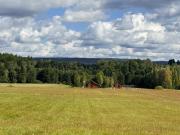 Top Mniów