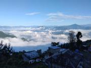 Top Pedong