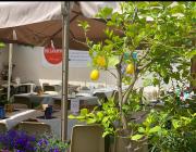 Top Vigevano