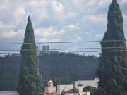 Top Morelia Top Morelia