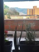 Top Medellín