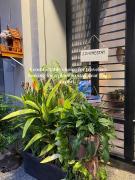 Top Phnom Penh