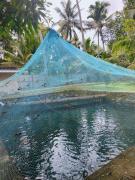 Top Mararikulam