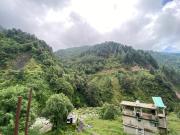 Top Dharamshala
