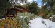 Cabañas Parque Almendro