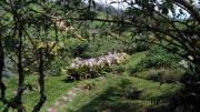 Top Turrialba