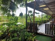 Top Ban Nong Nok Kathung