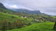 Top Suryanelli