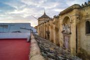 Top Córdoba
