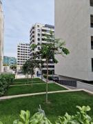 Top Belgrade