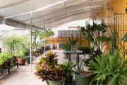 Top Oaxaca