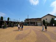 Top Baia Mare