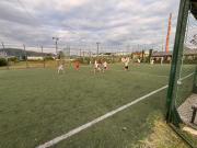 Top Baia Mare