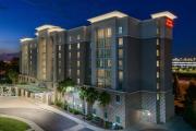 Top Tampa