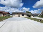 Top Poinciana