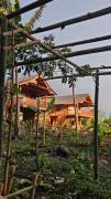 Top Tetebatu