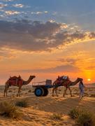 Top Jaisalmer