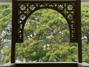 Top Chiang Mai