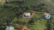 Top Vagamon
