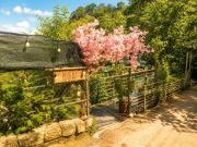 Top Da Lat