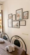 B&B Corapi