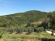 Sotto la Quercia