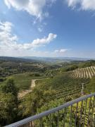 Top Montelupo Albese