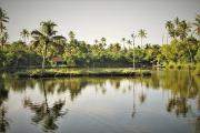 Top Cochin Top Cochin