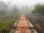 Top Yercaud