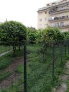 Top Caserta