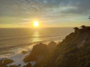 Top Algarrobo