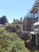 Top Algarrobo