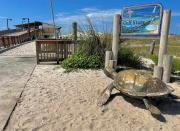 Top Gulf Shores