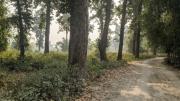 Top Siliguri