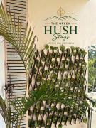 The Green Hush Stays