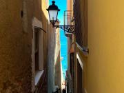 Top Scilla