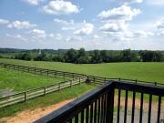 Top Scottsville