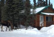 Top Kenai