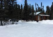 Top Kenai