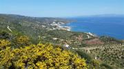 Top Agia Pelagia Top Agia Pelagia